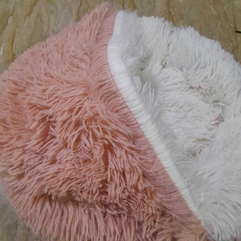 CAT BED 3