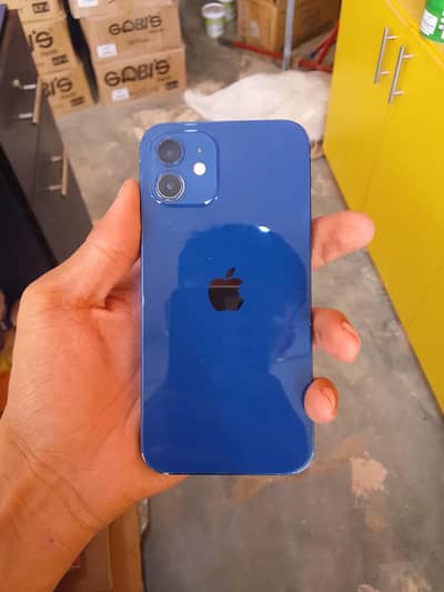 I phone 12
