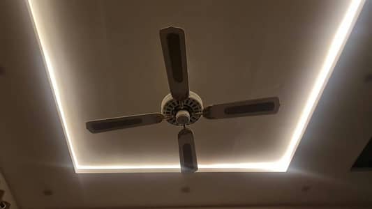 ceiling fan for sale New condition box pack ac. d,c fan bilkul New hai