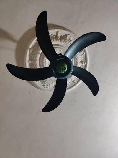 12 volt DC fan best for solar free full day