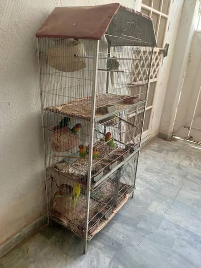parrot cage gor sale