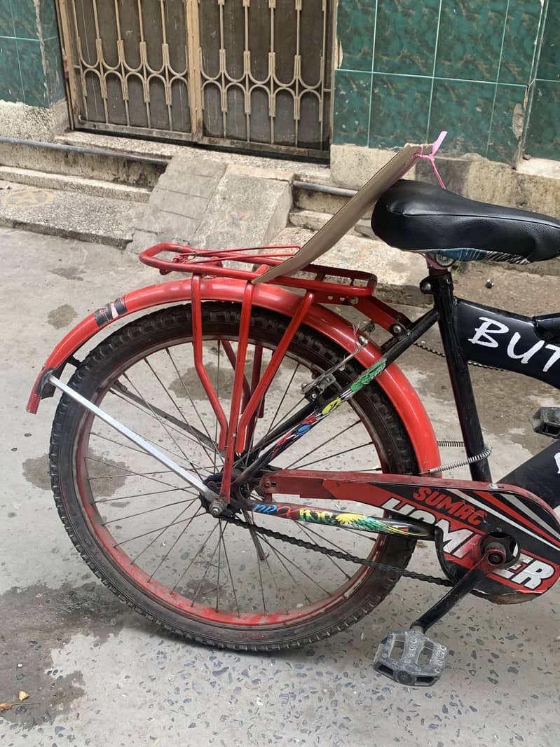Bik cycle 1