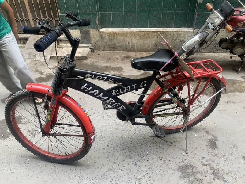 Bik cycle 2
