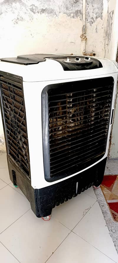 Air cooler