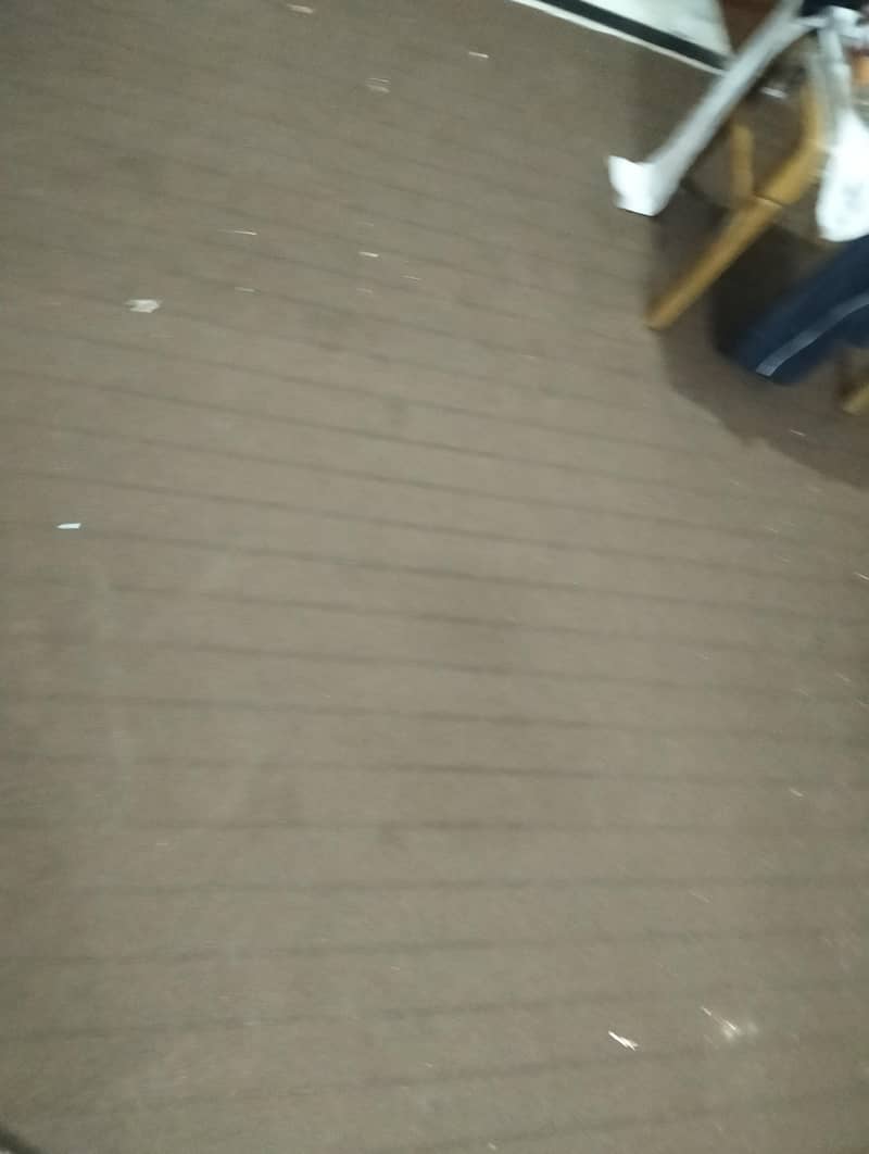 Carpet 0
