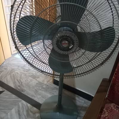 Royal fan for sell