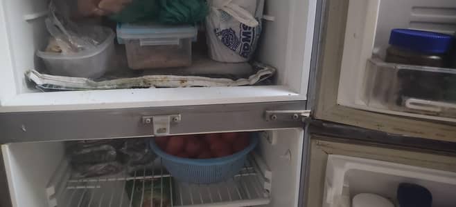 PAL MEDIUM SIZE Fridge