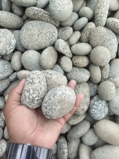 Garden Fancy Stones for Sale | Modern Decorative Stones | Bulk Availab