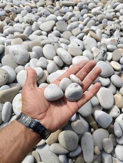 Garden Fancy Stones | Modern Decorative Stones | Bulk Availab
