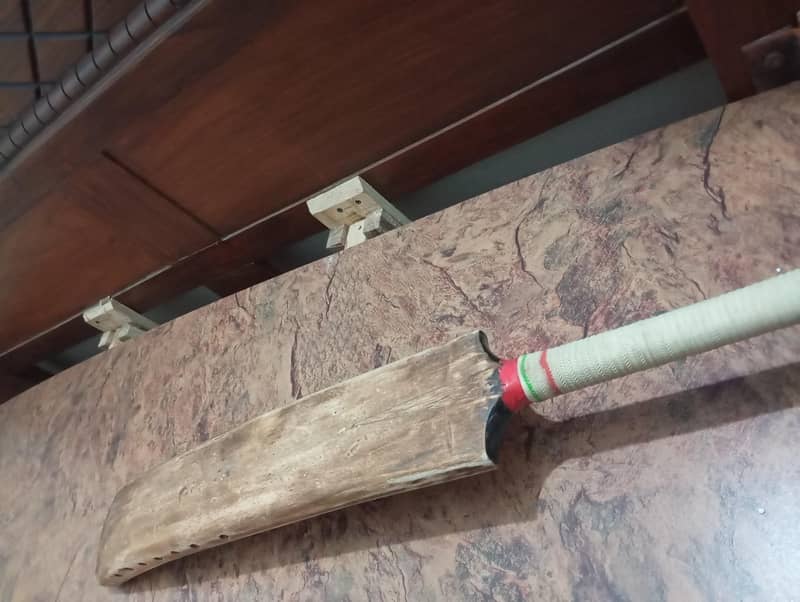 bat cornedo 4