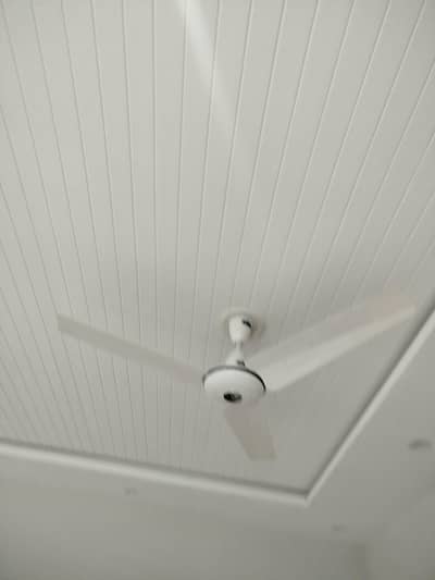 Ceiling fan