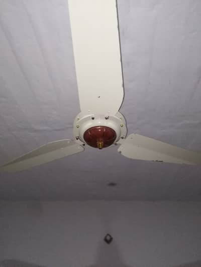 2 Ceiling Fans in Perfect Working Condition (Excellent Speed)