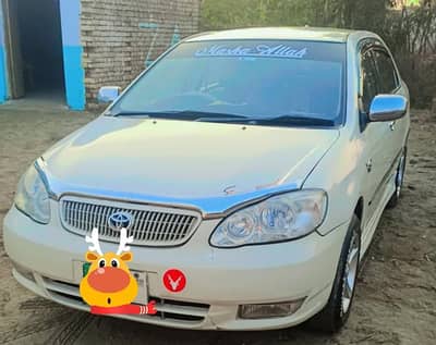 Toyota xli