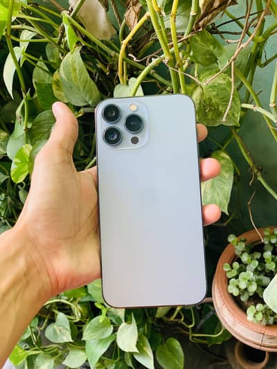 iPhone 13 pro max