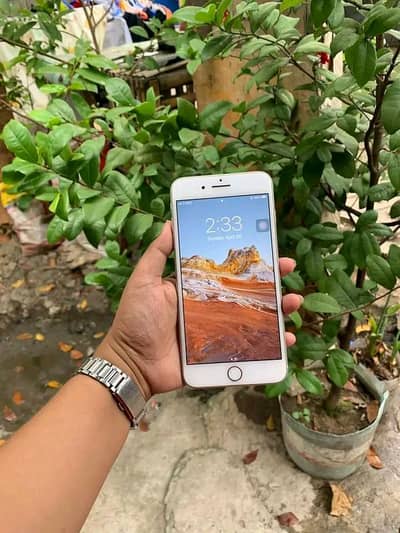Iphone 7plus PTA approved 128gb My Whatsapp number 0348-55-58-176