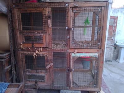 Birds and hens double story cage