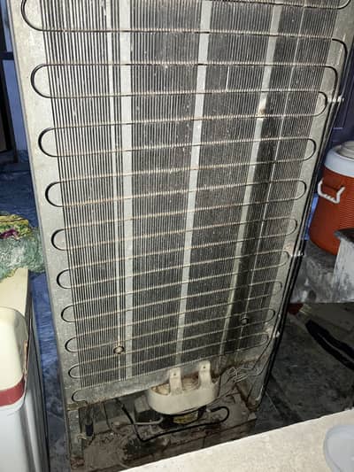 Full Size Refrigerator