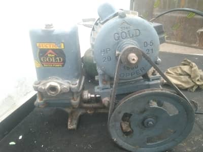 star gold water pump