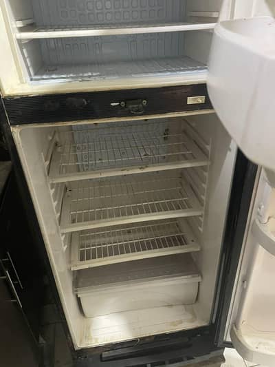 waves fridge