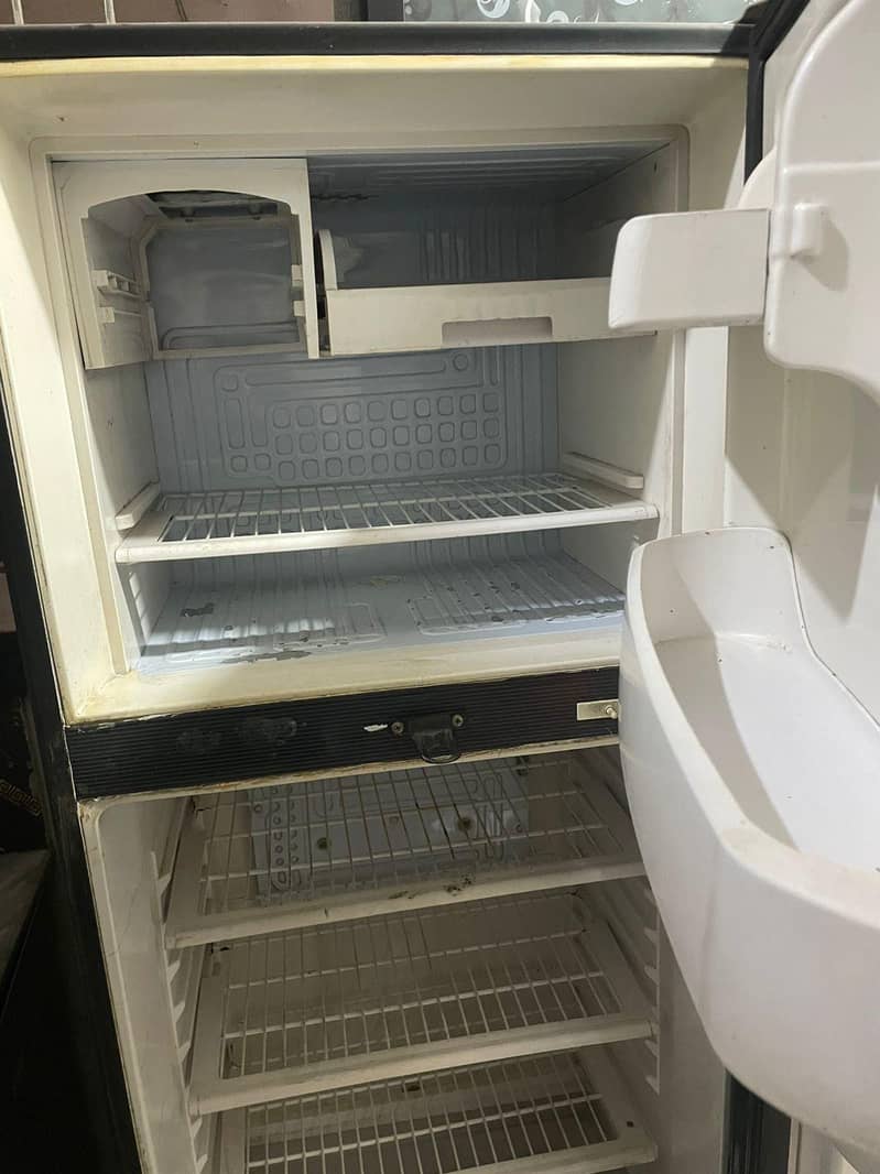 waves fridge 4