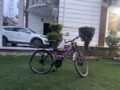 Falcon bicycle