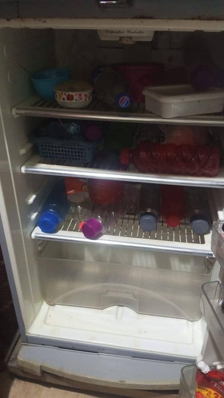 fridge 3