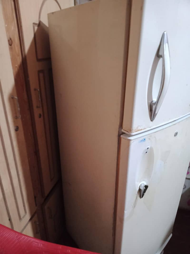 Fridge 1