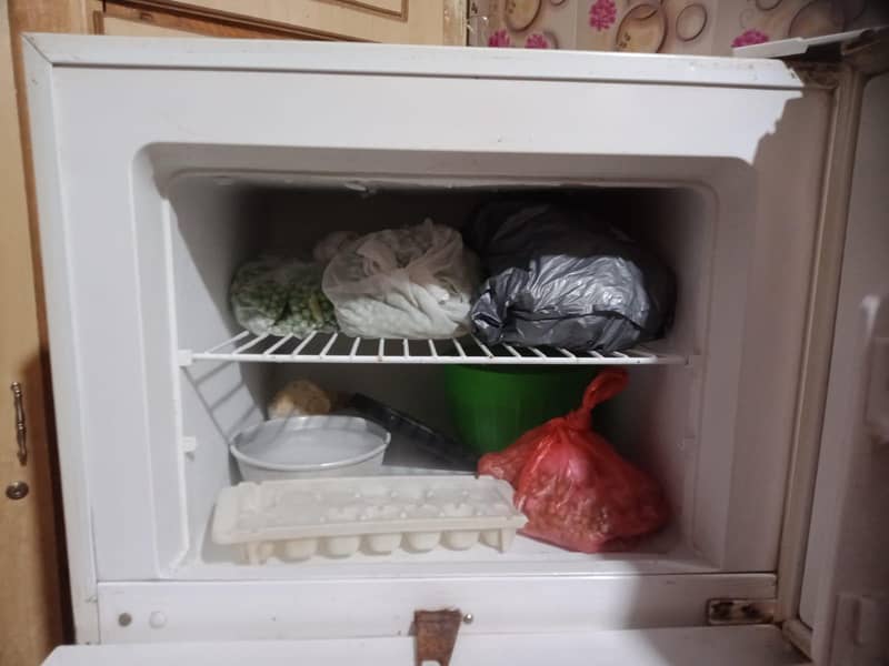 Fridge 2