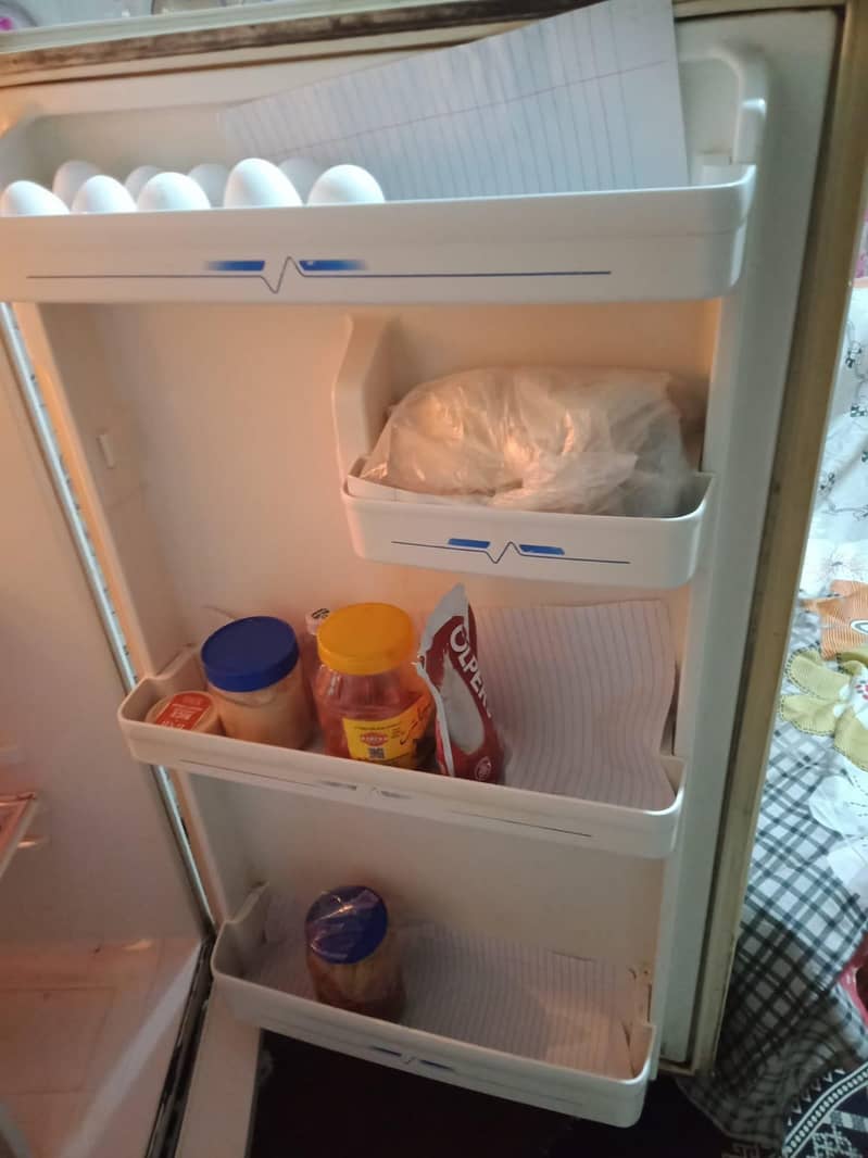 Fridge 5