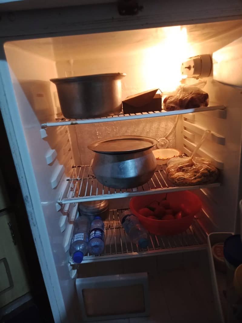 Fridge 6