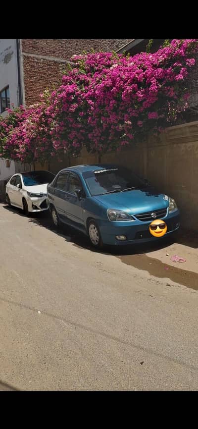 Suzuki liana
