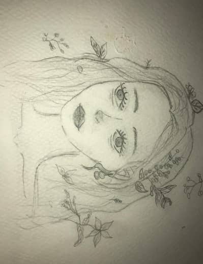 sketch