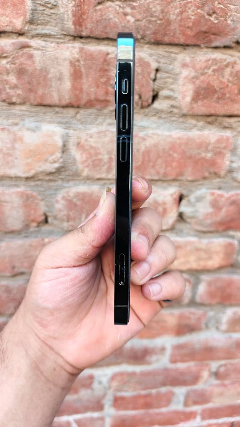 Apple 1