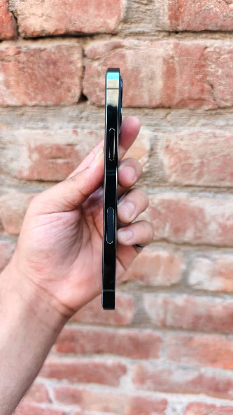 Apple 3