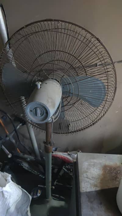 pedistal fan
