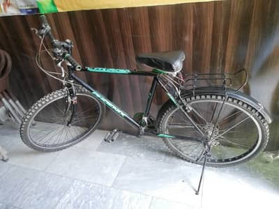 phoniex bicycle