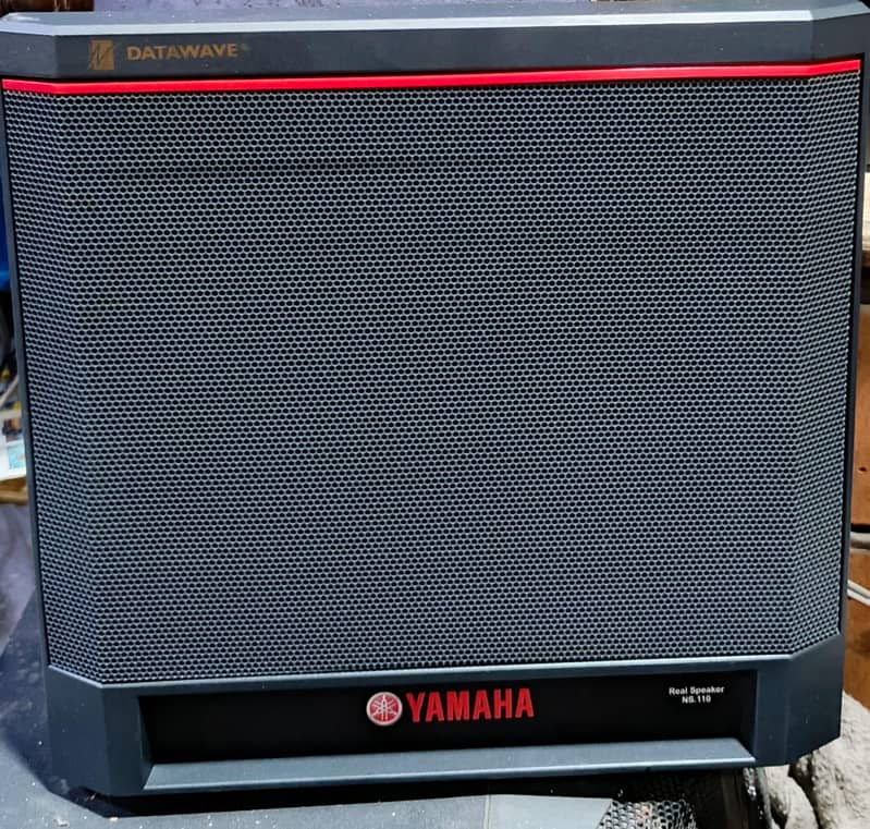 Speaker 0