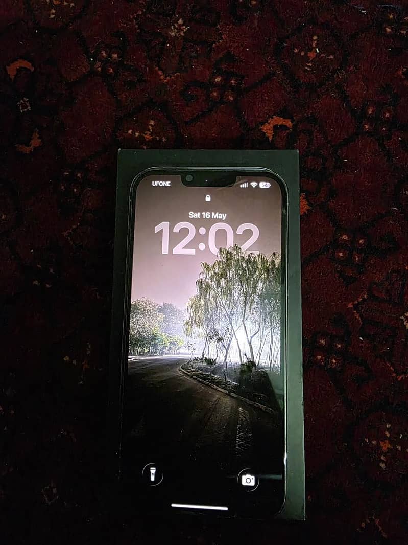 13 Pro max 1