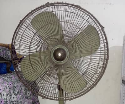 Pak Fan pedestal Fan