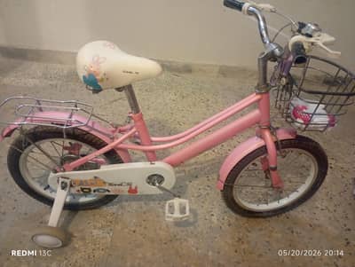 Chinese bicycle