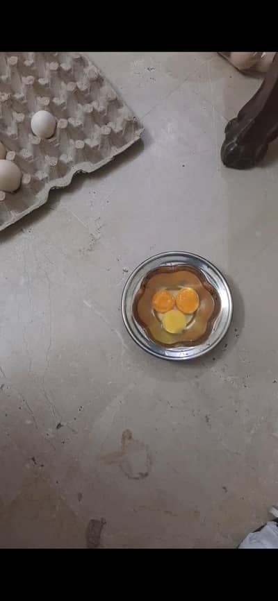 desi eggs