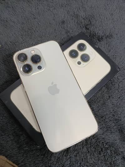 iphone 13 pro waterpacked