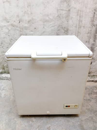 single door D freezer