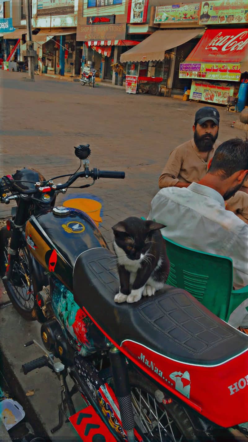 Total modified 1