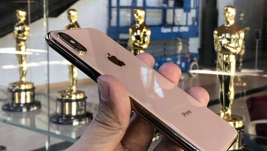 Xs max 256
