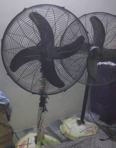 Hino Fan