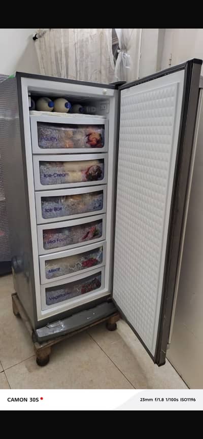 Vertical freezer