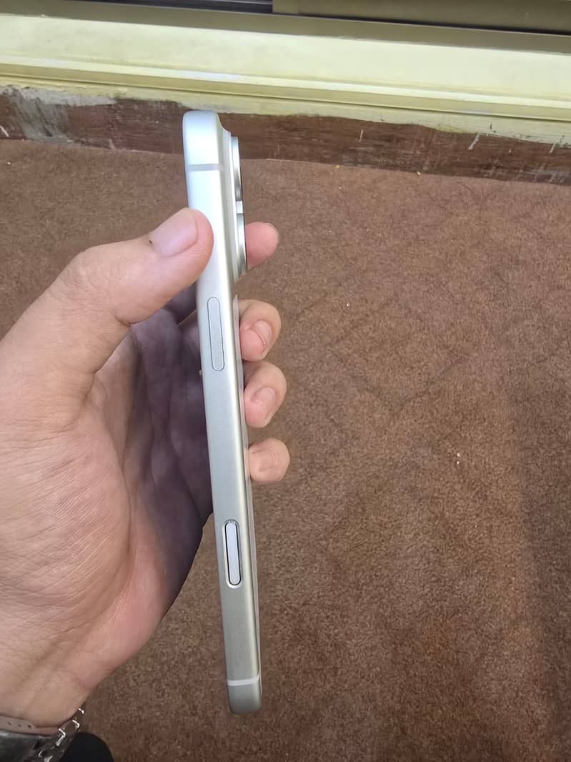 17 pro max 1