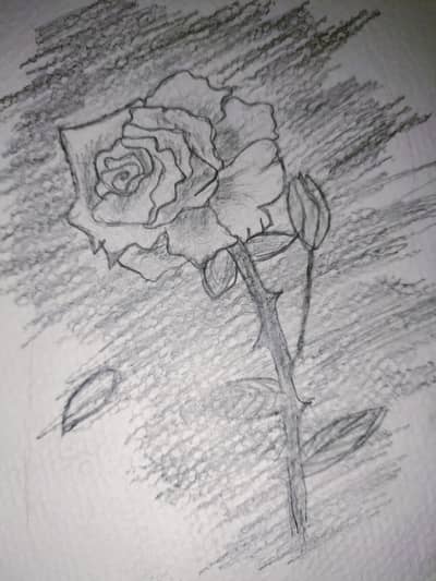 sketch