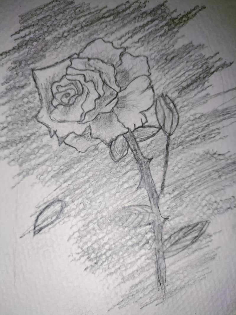 sketch 0